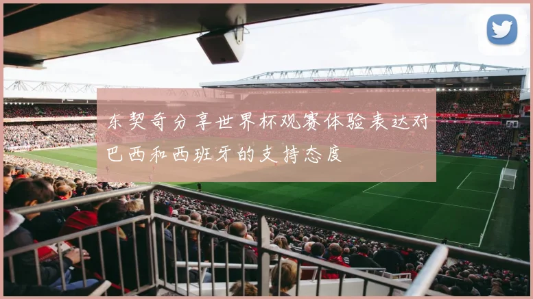 东契奇分享世界杯观赛体验表达对巴西和西班牙的支持态度