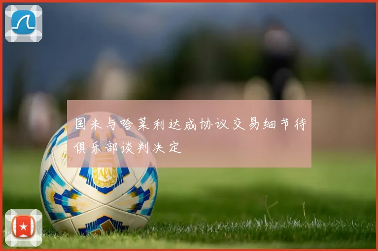 国米与哈莱利达成协议交易细节待俱乐部谈判决定